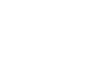 8 Lion