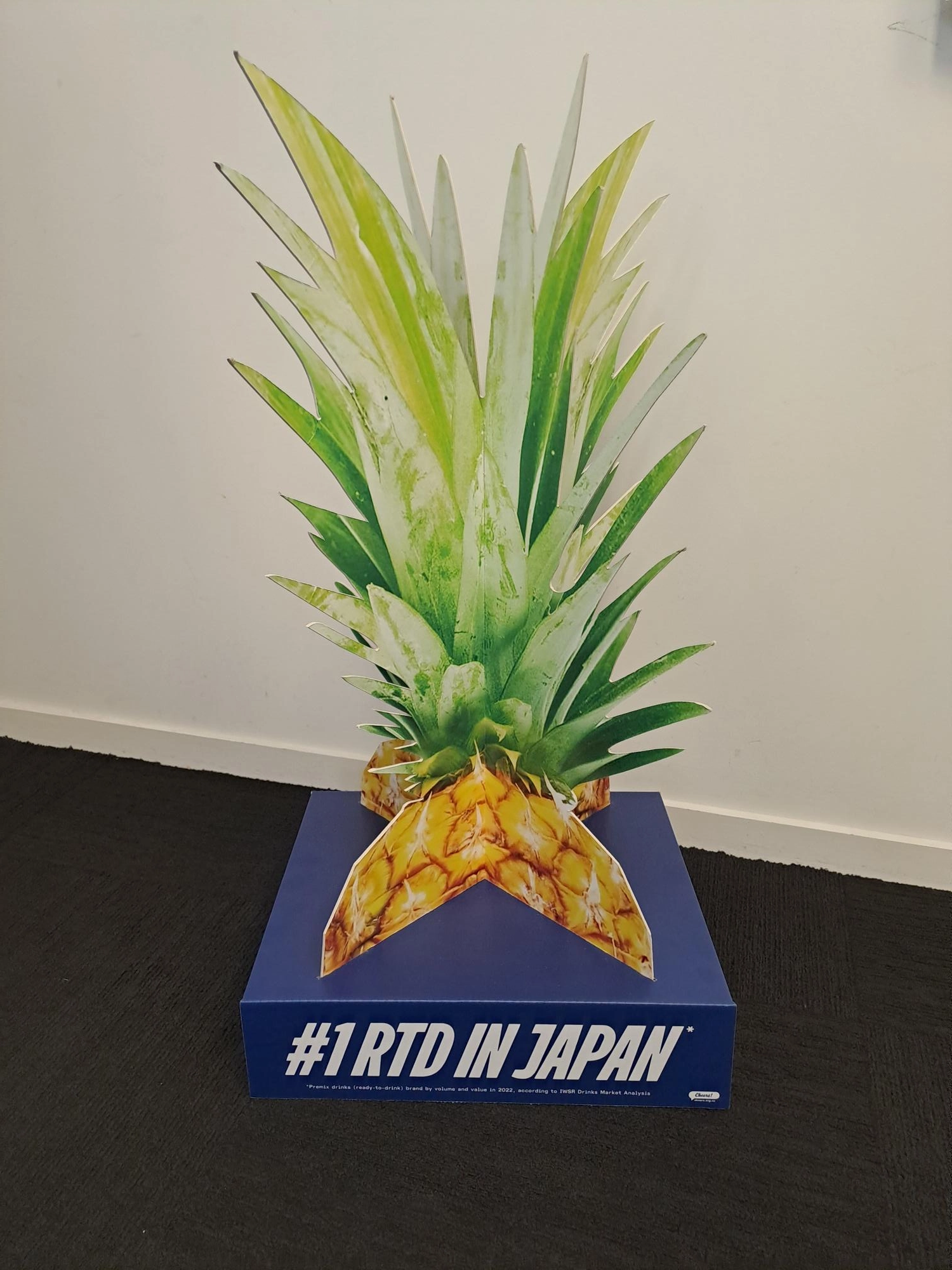 Lion NZ - image 10